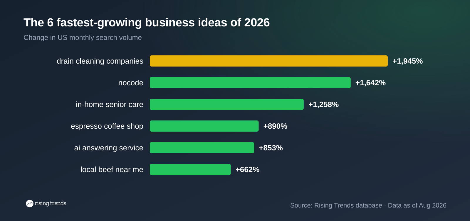 Six business ideas ranked by 1-year search growth: drain cleaning companies +1,945% down to local beef +662%