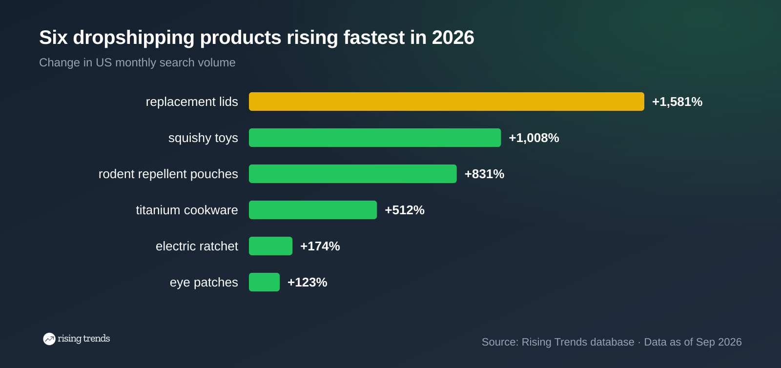 Six rising dropshipping products by 1-year US search growth, replacement lids up 1,581% to eye patches up 123%