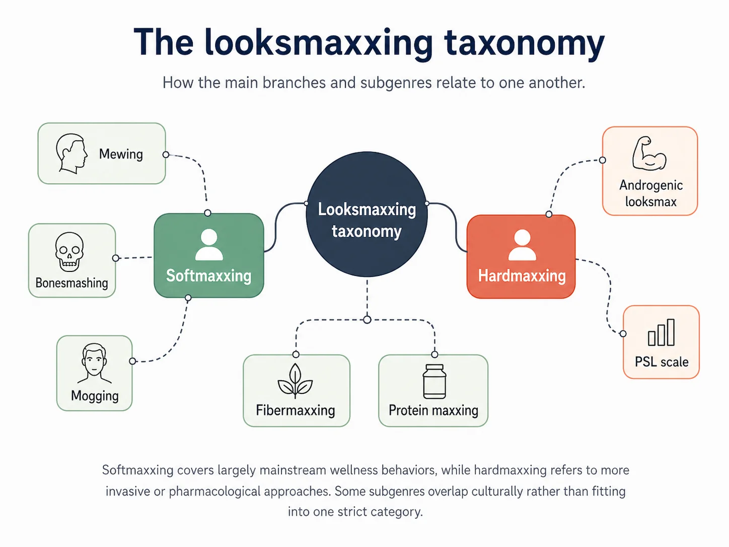 Maxxing self-optimization on TikTok